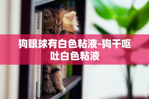 狗眼球有白色粘液-狗干嘔吐白色粘液
