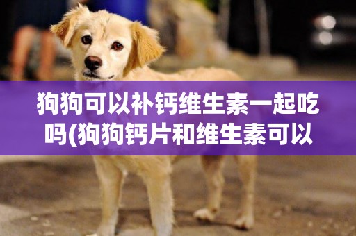 狗狗可以補鈣維生素一起吃嗎(狗狗鈣片和維生素可以一起吃嗎)