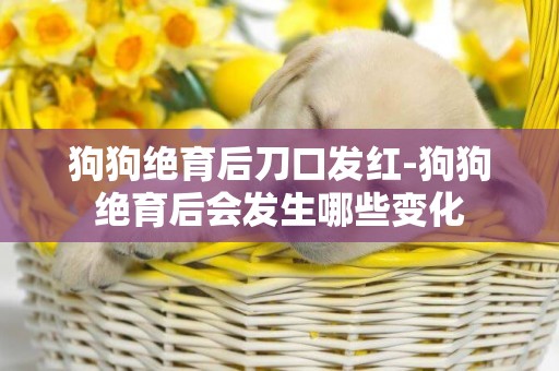 狗狗絕育后刀口發紅-狗狗絕育后會發生哪些變化