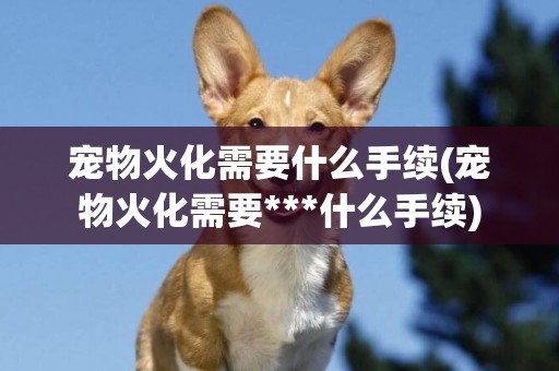 寵物火化需要什么手續(寵物火化需要***什么手續)