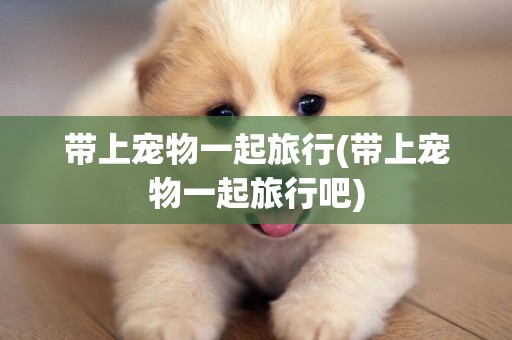 帶上寵物一起旅行(帶上寵物一起旅行吧)