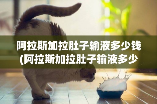 阿拉斯加拉肚子輸液多少錢(阿拉斯加拉肚子輸液多少錢一針)