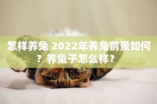 怎樣養兔 2022年養兔前景如何？養兔子怎么樣？ 
