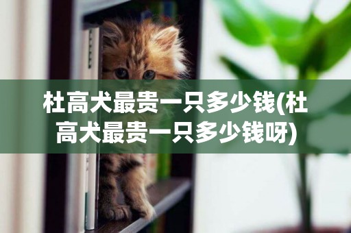 杜高犬最貴一只多少錢(杜高犬最貴一只多少錢呀)