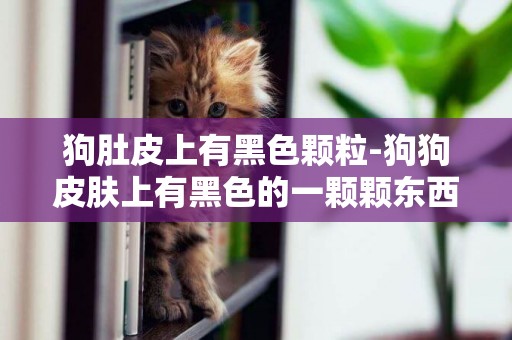 狗肚皮上有黑色顆粒-狗狗皮膚上有黑色的一顆顆東西