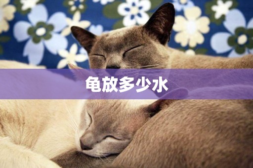 龜放多少水