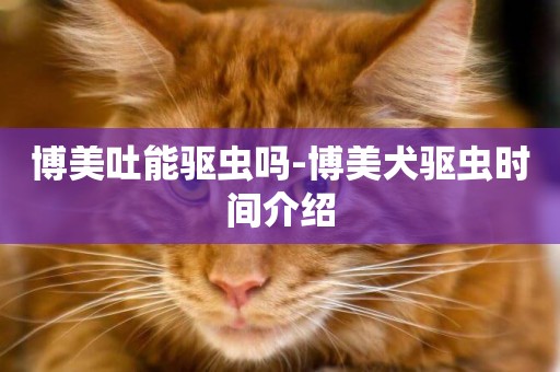 博美吐能驅蟲嗎-博美犬驅蟲時間介紹