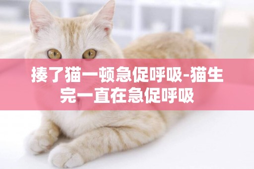 揍了貓一頓急促呼吸-貓生完一直在急促呼吸