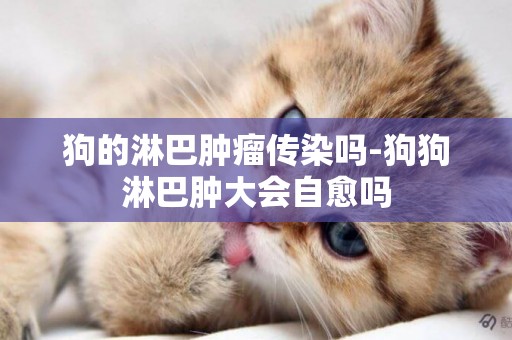狗的淋巴腫瘤傳染嗎-狗狗淋巴腫大會自愈嗎