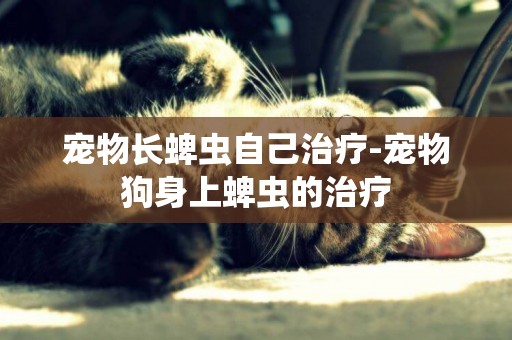 寵物長蜱蟲自己治療-寵物狗身上蜱蟲的治療