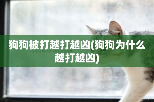 狗狗被打越打越兇(狗狗為什么越打越兇)