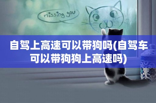 自駕上高速可以帶狗嗎(自駕車可以帶狗狗上高速嗎)