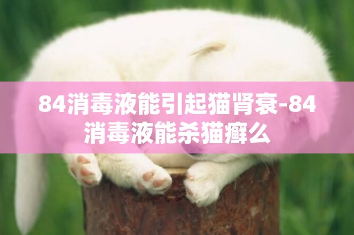 84消毒液能引起貓腎衰-84消毒液能殺貓癬么