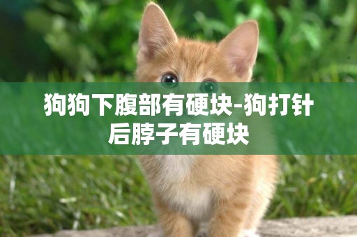 狗狗下腹部有硬塊-狗打針后脖子有硬塊