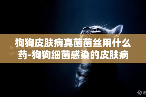 狗狗皮膚病真菌菌絲用什么藥-狗狗細菌感染的皮膚病用什么藥
