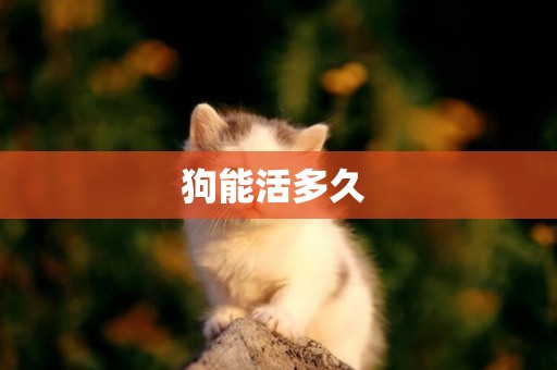 狗能活多久 