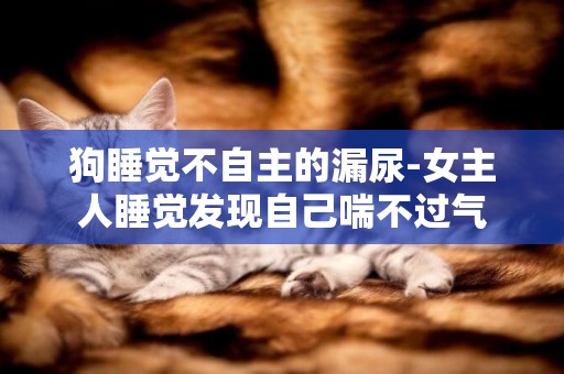 狗睡覺不自主的漏尿-女主人睡覺發現自己喘不過氣