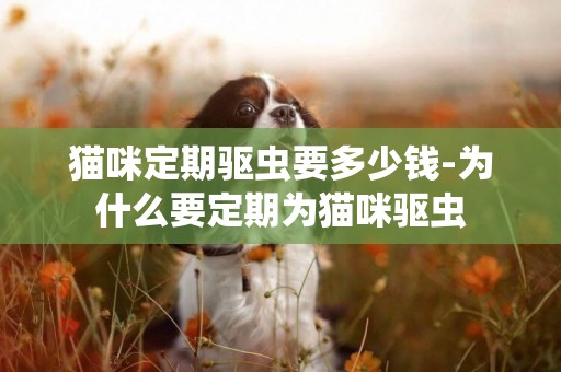 貓咪定期驅蟲要多少錢-為什么要定期為貓咪驅蟲