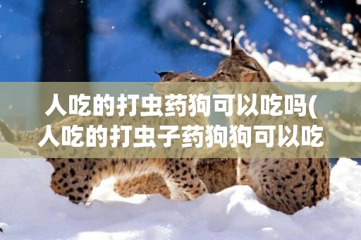 人吃的打蟲藥狗可以吃嗎(人吃的打蟲子藥狗狗可以吃嗎)