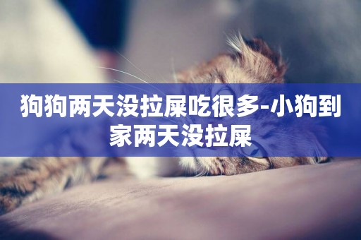 狗狗兩天沒拉屎吃很多-小狗到家兩天沒拉屎