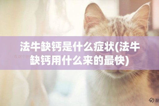 法牛缺鈣是什么癥狀(法牛缺鈣用什么來的最快)
