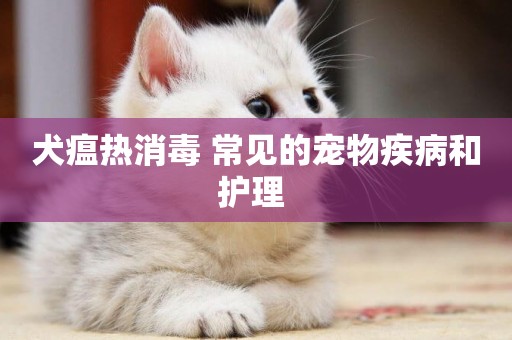 犬瘟熱消毒 常見的寵物疾病和護理 