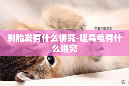 剃胎發有什么講究-埋烏龜有什么講究