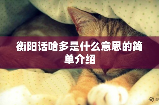 衡陽話哈多是什么意思的簡單介紹