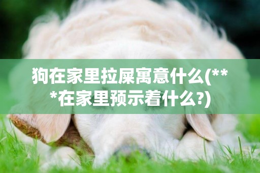 狗在家里拉屎寓意什么(***在家里預示著什么?)