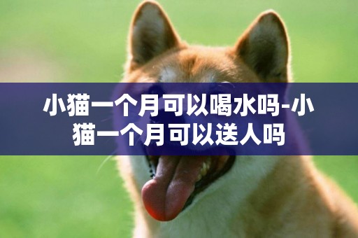 小貓一個月可以喝水嗎-小貓一個月可以送人嗎
