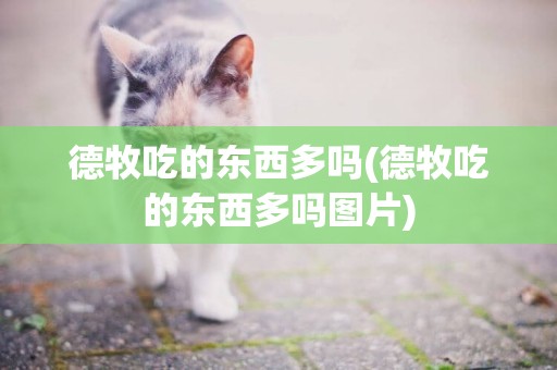 德牧吃的東西多嗎(德牧吃的東西多嗎圖片)