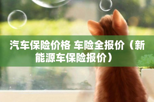 汽車保險價格 車險全報價（新能源車保險報價） 