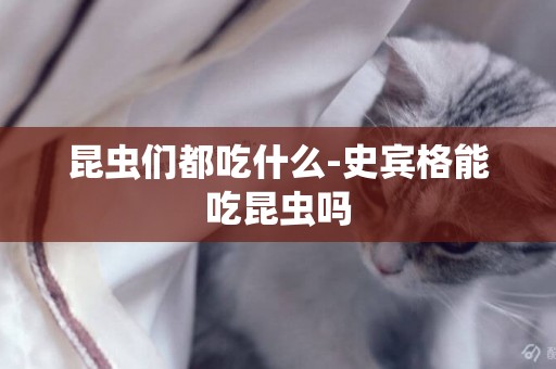昆蟲們都吃什么-史賓格能吃昆蟲嗎