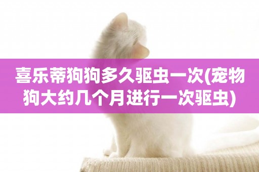 喜樂蒂狗狗多久驅蟲一次(寵物狗大約幾個月進行一次驅蟲)