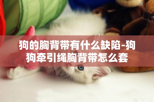 狗的胸背帶有什么缺陷-狗狗牽引繩胸背帶怎么套