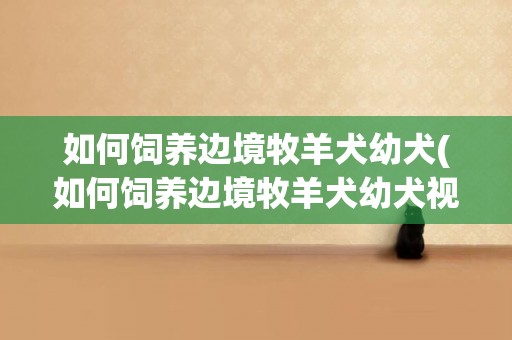如何飼養邊境牧羊犬幼犬(如何飼養邊境牧羊犬幼犬視頻)