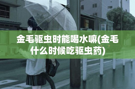 金毛驅蟲時能喝水嘛(金毛什么時候吃驅蟲藥)