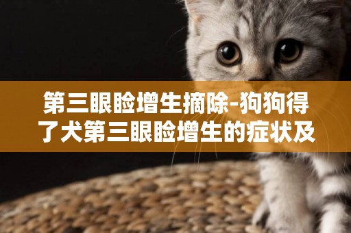 第三眼瞼增生摘除-狗狗得了犬第三眼瞼增生的癥狀及診治