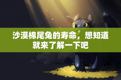 沙漠棉尾兔的壽命,想知道就來了解一下吧 沙漠棉尾兔的壽命,想知道就來了解一下吧