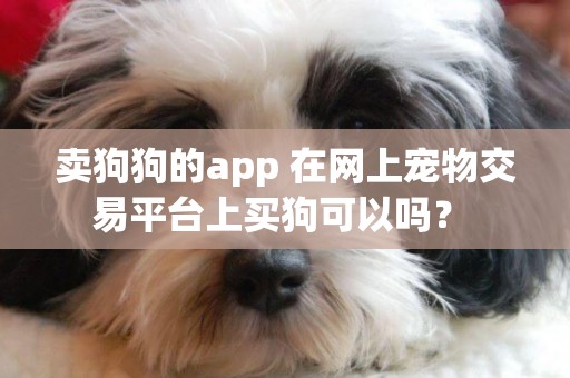 賣狗狗的app 在網上寵物交易平臺上買狗可以嗎？ 