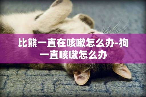 比熊一直在咳嗽怎么辦-狗一直咳嗽怎么辦