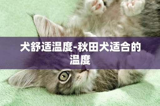 犬舒適溫度-秋田犬適合的溫度