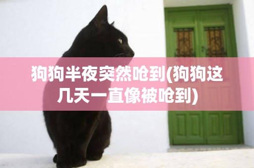 狗狗半夜突然嗆到(狗狗這幾天一直像被嗆到)