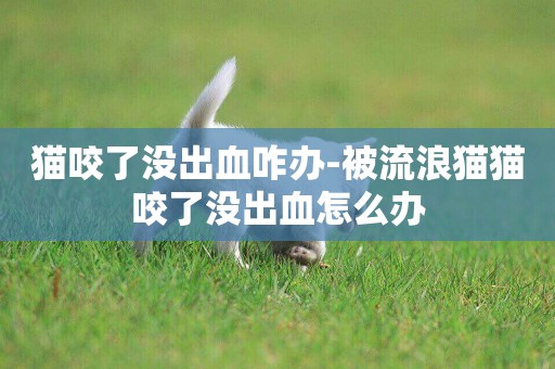 貓咬了沒出血咋辦-被流浪貓貓咬了沒出血怎么辦