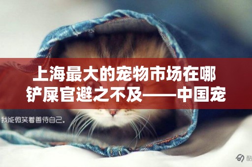 上海最大的寵物市場在哪 鏟屎官避之不及——中國寵物有限公司 