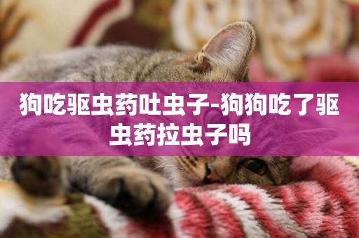 狗吃驅蟲藥吐蟲子-狗狗吃了驅蟲藥拉蟲子嗎
