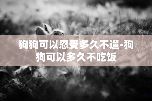 狗狗可以忍受多久不遛-狗狗可以多久不吃飯