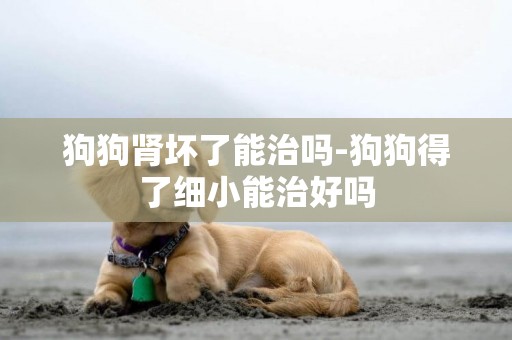 狗狗腎壞了能治嗎-狗狗得了細小能治好嗎