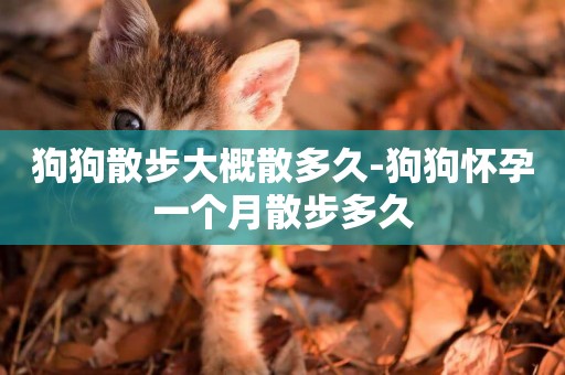 狗狗散步大概散多久-狗狗懷孕一個月散步多久