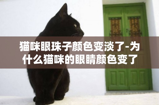 貓咪眼珠子顏色變淡了-為什么貓咪的眼睛顏色變了